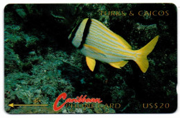 Turks & Caicos - Parrot Fish - 1CTCD - Turks E Caicos (Isole)