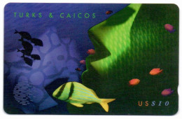 Turks & Caicos - Artwork Puzzel (2/2) - 108CTCB (with Ø) - Turks- En Caicoseilanden