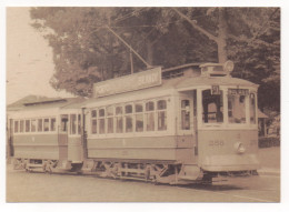 A6 VOITURE ÉLECTRIQUE N°258 AVEC REMORQUE N°22 VOITURE ÉLECTRIQUE MODÉLE "BRILL" - Strassenbahnen