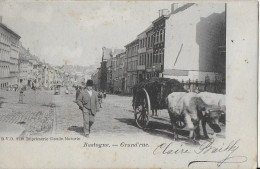 Julot1939 .... BASTOGNE ..-- Charrette De FUMIER Tractée Par Des BOEUFS . 1904 Vers DISTILLERIE LEPETIT . - Bastogne