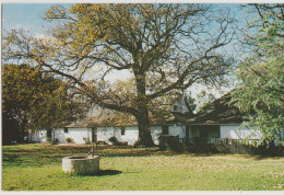 WESTERN AUSTRALIA WA Tranby House PERTH Australian Souvenirs NT-TH3 Postcard C1970s - Andere & Zonder Classificatie