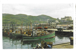 The Harbour, Mallaig (A19p50) - Inverness-shire