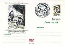 820  Hominine: Entier (c.p.) + Oblit. 1998 - Hominin Stationery Postcard And Pictorial Cancel. Paleoanthropology - Vor- Und Frühgeschichte