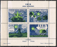 Hojita HAARLEM (Holland) 1953. EKIK, ESPERANTO Club Internacional Dentado - Fantasy Labels