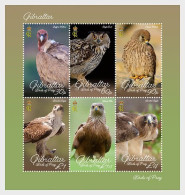 Gibraltar - Postfris / MNH - Sheet Birds Of Prey 2024 - Gibraltar