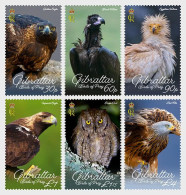 Gibraltar - Postfris / MNH - Complete Set Birds Of Prey 2024 - Gibraltar