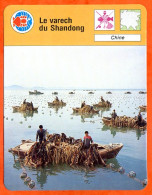 Le Varech Du Shandong Chine Fiche Illustrée Cousteau  N° 2965 - Animaux