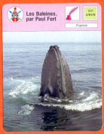Les Baleines Par Paul Fort Cétacés Animaux Fiche Illustrée Cousteau N° 3051 - Animaux