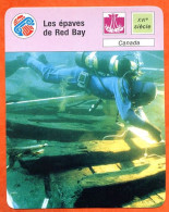 Les épaves De Red Bay  Canada Bateau Fiche Illustrée Cousteau  N° 1257 - Barche