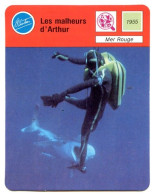 Les Malheurs D'Arthur Mer Rouge Requin  Animaux Fiche Illustrée Cousteau  N° 1708 - Animaux