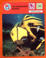 Les Scaphandriers Carénés  Méditerranée Fiche Illustrée Cousteau  N° 2206 - Sport