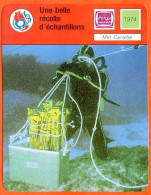 Une Belle Récolte D'échantillons Mer Caraibe 1974  Plongée Fiche Illustrée Cousteau N° 706 - Sport