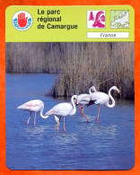 Le Parc Régional De Camargue France Défense De L'environnement Fiche Illustrée Cousteau  N° 1741 - Géographie