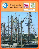 Grand Pavois Aux Bermudes   Fiche Illustrée Cousteau  N° 772 - Schiffe