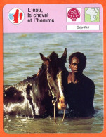 L'eau , Le Cheval Et L'homme Soudan Fiche Illustrée Cousteau  N° 3450 - Géographie