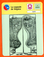 La Cagoule De Végèce Italie Plongée Fiche Illustrée Cousteau  N° 3033 - Sport