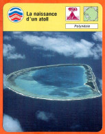 La Naissance D'un Atoll Polynénie Fiche Illustrée Cousteau N° 3029 - Géographie