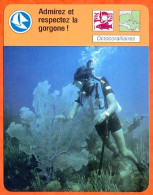 Admirez Et Respecter La Gorgone  Plongeur Fiche Illustrée Cousteau N° 771 - Sport