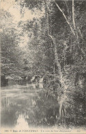 PARIS - BOIS DE VINCENNES - UN COIN DU LAC DAUMESNIL ***TRES BON ETAT*** - Parchi, Giardini