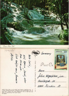 Jamaika (Allgemein) Jamaica Dunn's River Falls Waterfall Wasserfall Jamaika 1980 - Jamaïque