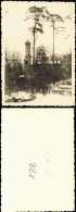 Foto Wannsee-Berlin Nikolskoe Im Winter 1955 Privatfoto Foto - Wannsee