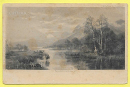 Cows In Country On The Banks Of The River BORROWDALE (CW Faulkner & C° London EC) - Borrowdale