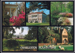 1 AK USA / South Carolina * Plantations Bei Charleston - Boone Hall, Drayton Hall, Cypress Gardens, Magnolia Gardens * - Charleston