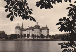 AK 206235 GERMANY - Schloß Moritzburg - Moritzburg