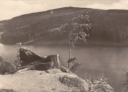 AK 206249 GERMANY - Sosa / Erzgeb. - Talsperre Des Friedens Mit Blick Zum Auersberg - Sosa