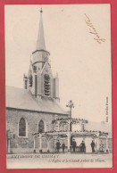 Macon ( Environs De Chimay ) - L'Eglise Et Le Grand Arbre -1903 ( Voir Verso ) - Momignies