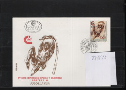 Jugoslavien Michel Cat.No.  FDC 2355/2356 - FDC