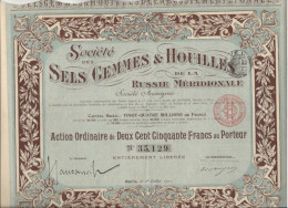 SOCIETE DES SELS GEMMES ET HOUILLES DE LA RUSSIE MERIDIONALE - ACTION  ORDINAIRE DE 250 FRS  -ACTION 1911 - Bergbau