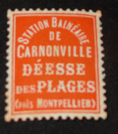 ERINNOPHILIPE: Vignette CARNON VILLE Deesse Des Plages, Neuve** ........... CL1-21-4c - Tourism (Labels)