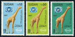 FAU1 Sudán  Nº 195/97  1967  MNH - Sudan (1954-...)