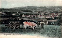 Neuville-sur-Saône Vue Générale Attelage De Boeufs Beef Vache Cow Rhône Cpa Couleur Non Ecrite Au Dos En TB.Etat - Neuville Sur Saone