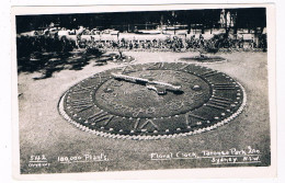 AUS-395  SYDNEY : Floral Clock Tarona Park Zoo - 100.00 Plants - Sydney