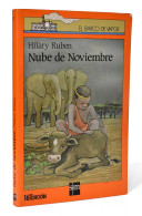 Nube De Noviembre - Hilary Ruben - Infantil Y Juvenil