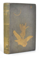 The Grey Fairy Book - Andrew Lang - Children's