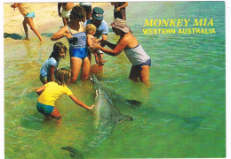 AUS-404  MONKEY MIA : Wild Dolphins Meeting People - Sonstige & Ohne Zuordnung