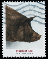 Etats-Unis / United States (Scott No.5583 - Heritage Breeds) (o) - Gebraucht