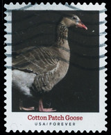 Etats-Unis / United States (Scott No.5588 - Heritage Breeds) (o) - Gebruikt