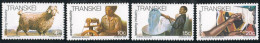 FAU4 Transkei 37/40  1978   MNH - Transkei