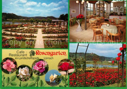 73158631 Loerrach Cafe Restaurant Rosengarten Gaststube Rosenbeete Loerrach - Loerrach