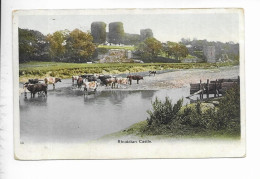 RHUDDLAN CASTLE. - Denbighshire