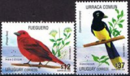 Uruguay 2360/2361 - Mercosur. Pájaros MNH - Uruguay