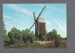 Haaksbergen - Wissink's Molen - Postkaart - Haaksbergen