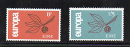 1965 Ireland Mi N° 176/177 : ** MNH, Postfris, Postfrisch , Neuf Sans Charniere - 1965