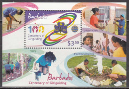 2010 Barbados Girl Guides Souvenir Sheet  MNH - Barbados (1966-...)