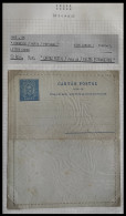 PORTUGAL AZORES AÇORES ANGRA 1893 -1895 KING CARLOS I  50 Rs BLUE MNH** BILHETE POSTAL FOREIGN  LETTER CARD INC PAGE - Angra