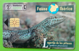 Carte Téléphonique -Faune-Ibérique-Lézards-des-Pitiusas-    CabiTel..    Espagne. - Basisuitgaven